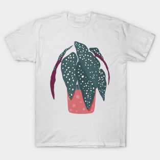 Begonia Maculata - Polka Dot Plant T-Shirt